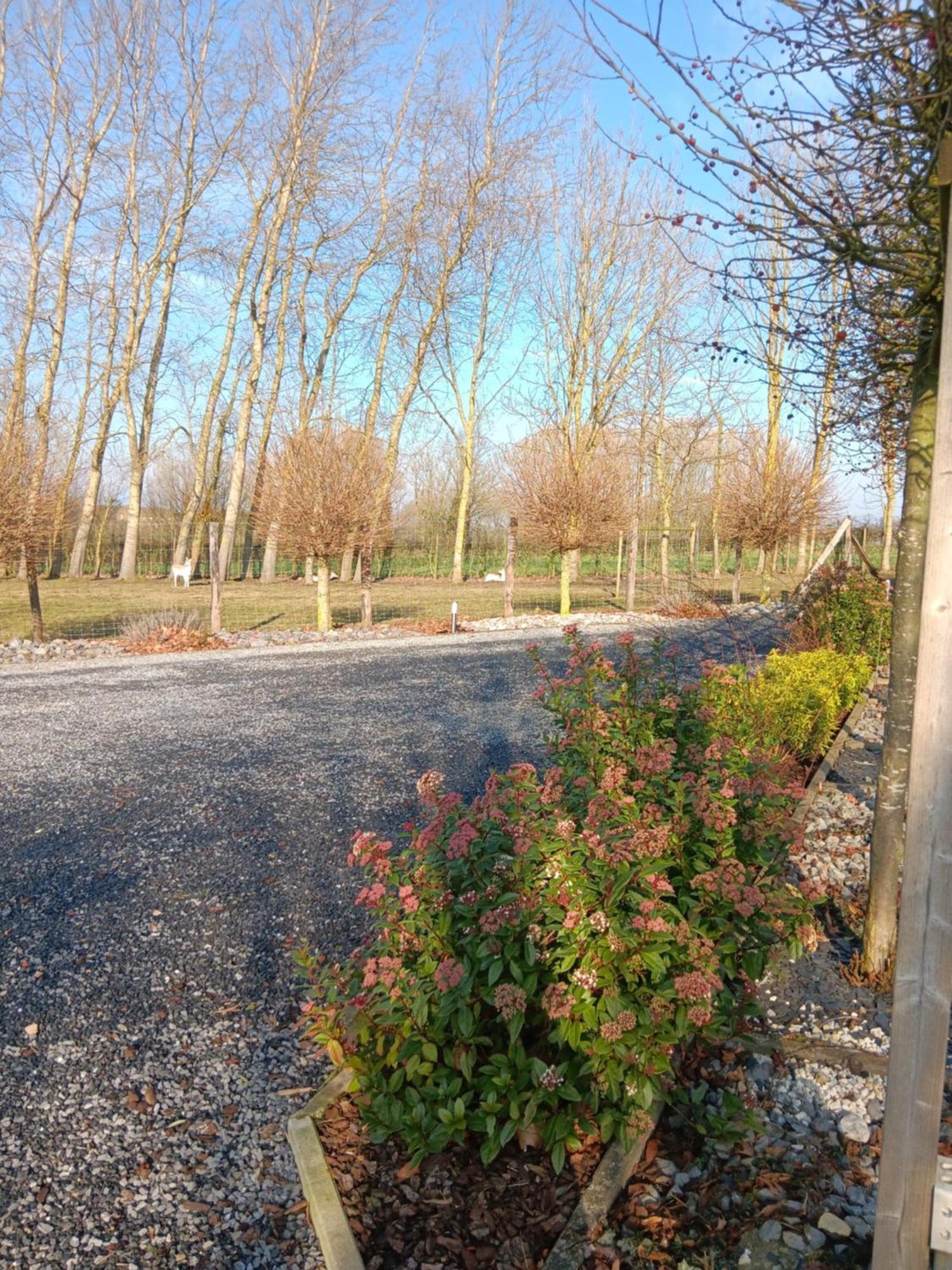 La Chambre Des Daines Binche Bagian luar foto